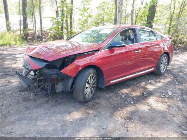 5NPE34AF5FH214775 Hyundai Sonata Sport