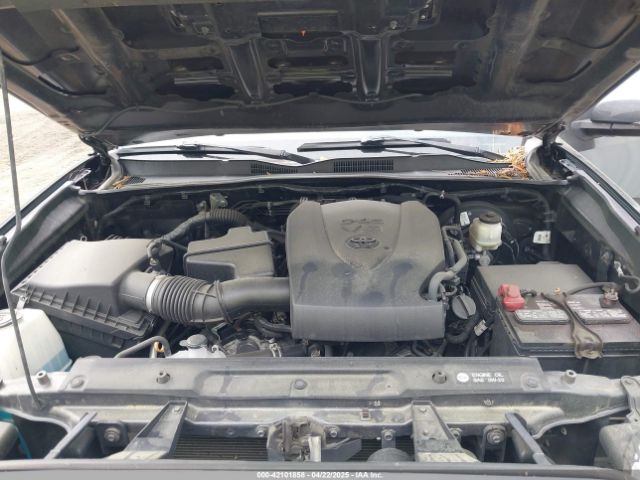 3TMCZ5AN7KM198876 Toyota Tacoma Trd Sport