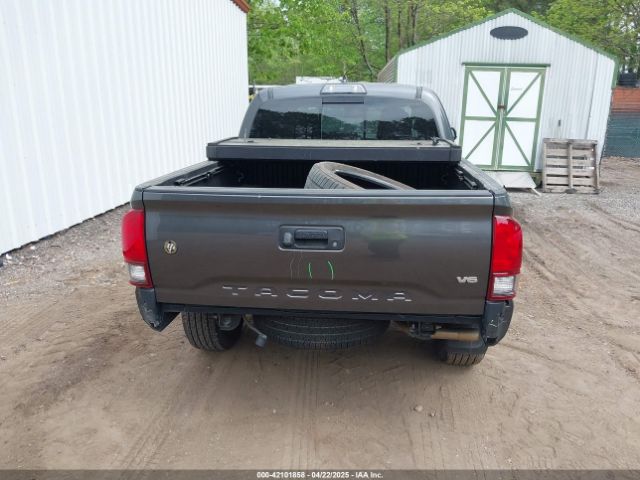 3TMCZ5AN7KM198876 Toyota Tacoma Trd Sport