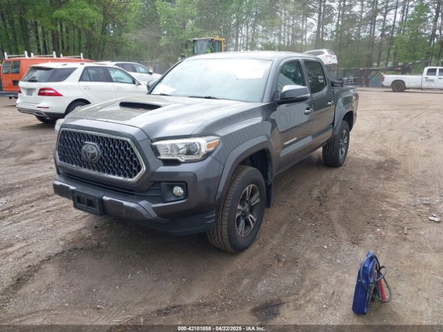 3TMCZ5AN7KM198876 Toyota Tacoma Trd Sport