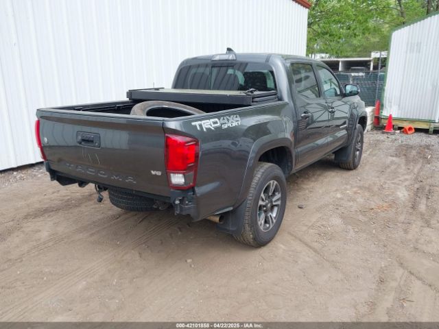 3TMCZ5AN7KM198876 Toyota Tacoma Trd Sport
