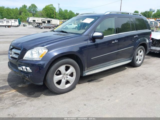 2010 MERCEDES-BENZ GL 450 4JGBF7BEXAA603408 Photo 1