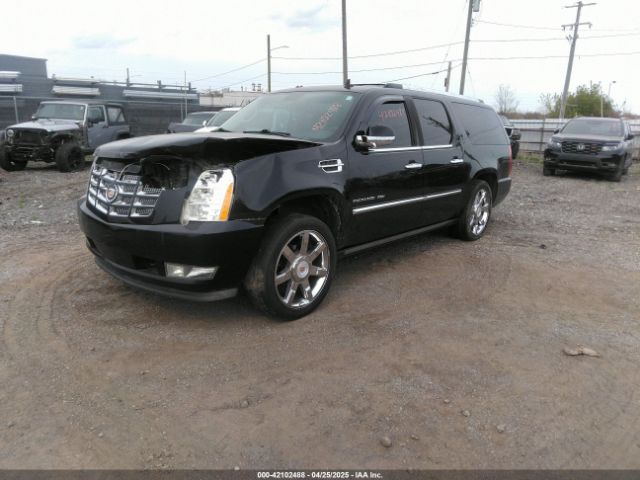 2010 CADILLAC ESCALADE ESV 1GYUKJEF7AR171835 Photo 1