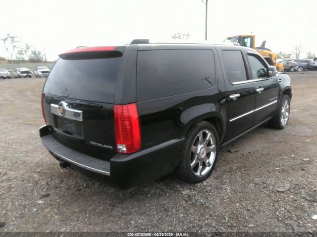 2010 CADILLAC ESCALADE ESV 1GYUKJEF7AR171835 Photo 3