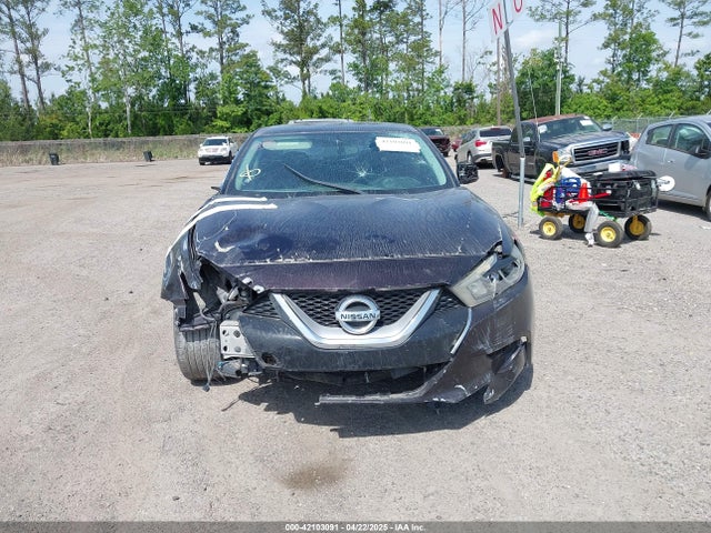 1N4AA6AP9GC436537 Nissan Maxima 3.5 S