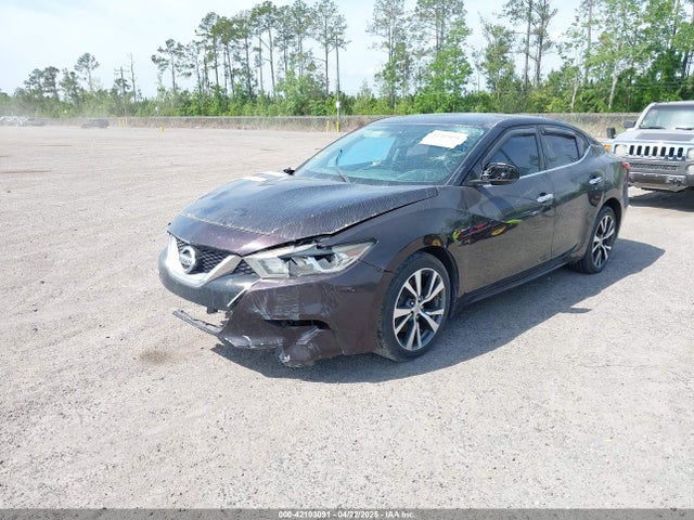 1N4AA6AP9GC436537 Nissan Maxima 3.5 S
