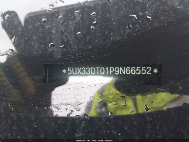 2023 BMW X4 5UX33DT01P9N66552 Photo 8