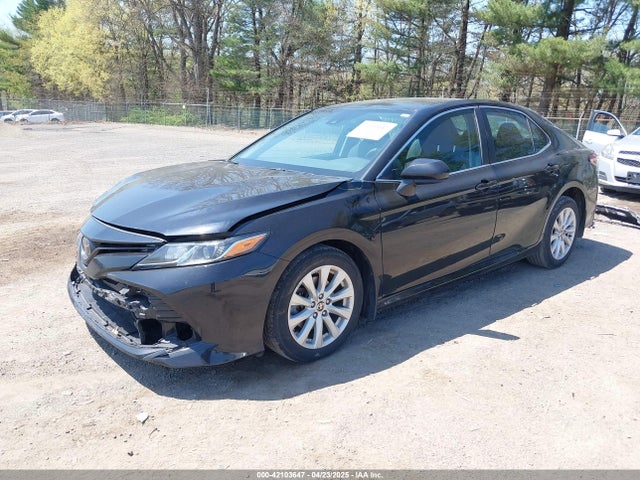 4T1C11AK9LU387012 Toyota CAMRY LE