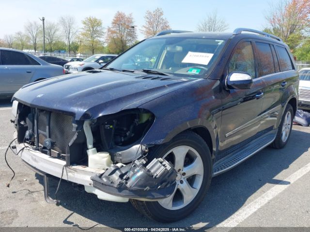 2010 MERCEDES-BENZ GL 450 4JGBF7BE6AA618200 Photo 1