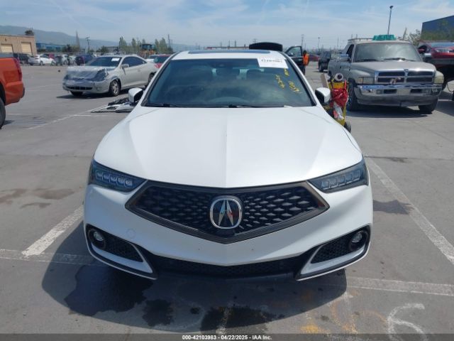 19UUB1F62LA008629 Acura TLX