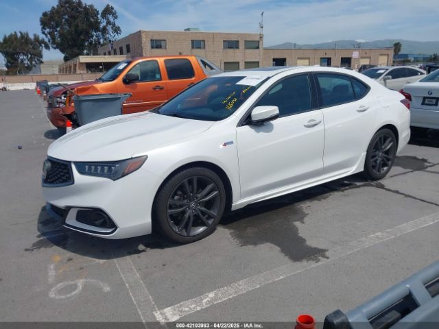 19UUB1F62LA008629 Acura TLX