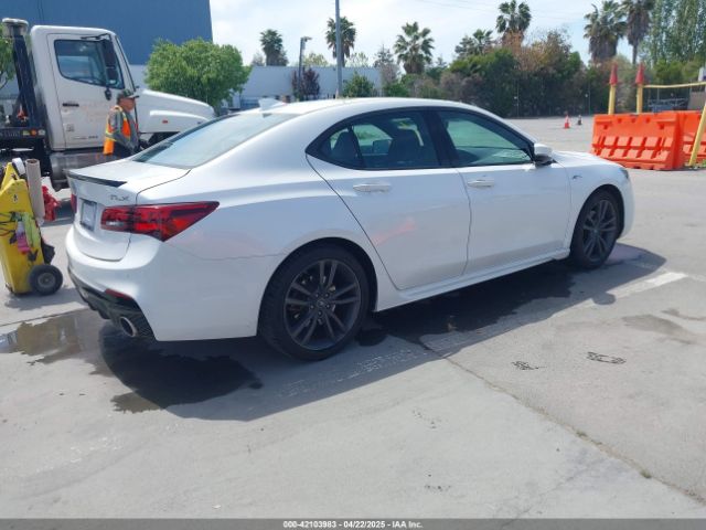 19UUB1F62LA008629 Acura TLX