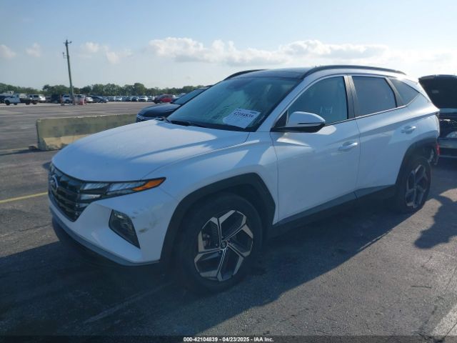 KM8JFCA13PU133071 Hyundai Tucson Hybrid Sel Convenience