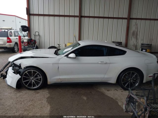 1FA6P8TH1K5168795 Ford Mustang Ecoboost