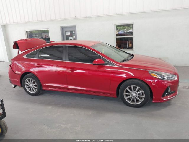 5NPE24AF4KH745205 Hyundai SONATA SE
