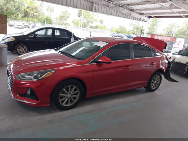 5NPE24AF4KH745205 Hyundai SONATA SE