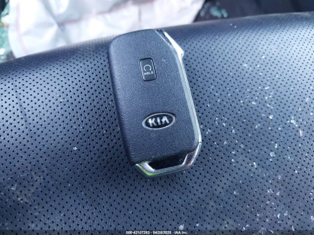 2021 KIA TELLURIDE 5XYP2DHC2MG168172 Photo 10