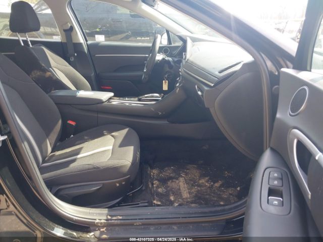 KMHL24JA5PA343960 Hyundai SONATA SE