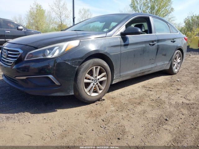 5NPE24AF2GH379283 Hyundai SONATA SE