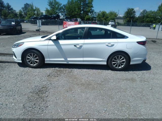 5NPE24AF7JH601095 Hyundai SONATA SE