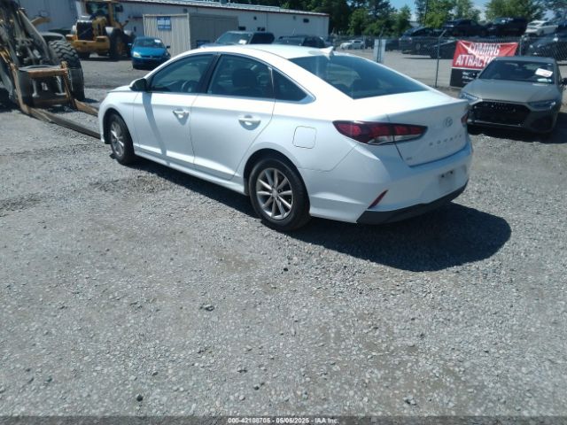 5NPE24AF7JH601095 Hyundai SONATA SE