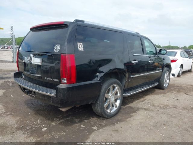 2007 CADILLAC ESCALADE ESV 1GYFK66887R367331 Photo 3