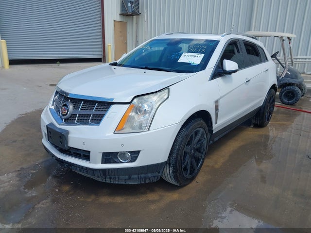 2010 CADILLAC SRX 3GYFNFEY8AS560172 Photo 1