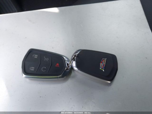 2024 CADILLAC XT5 1GYKNBR41RZ755169 Photo 10