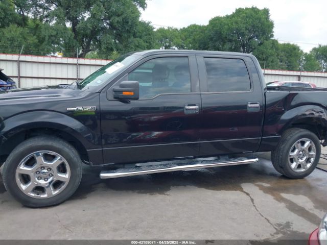 1FTFW1CF4EKE80280 Ford F-150 Xlt