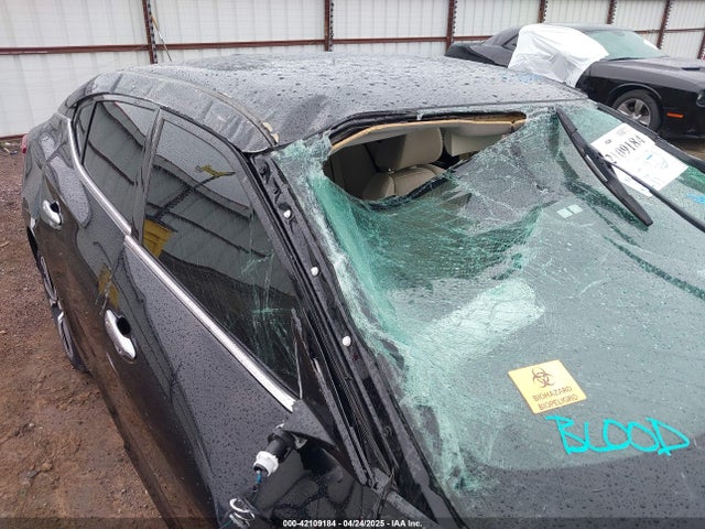 1N4AA6AP3JC406960 Nissan Maxima 3.5 Sv