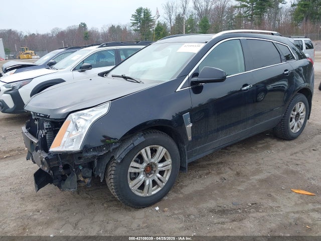 2011 CADILLAC SRX 3GYFNDEY7BS557303 Photo 1