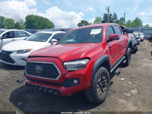 2019 TOYOTA TACOMA 3TMCZ5AN8KM198613 Photo 1