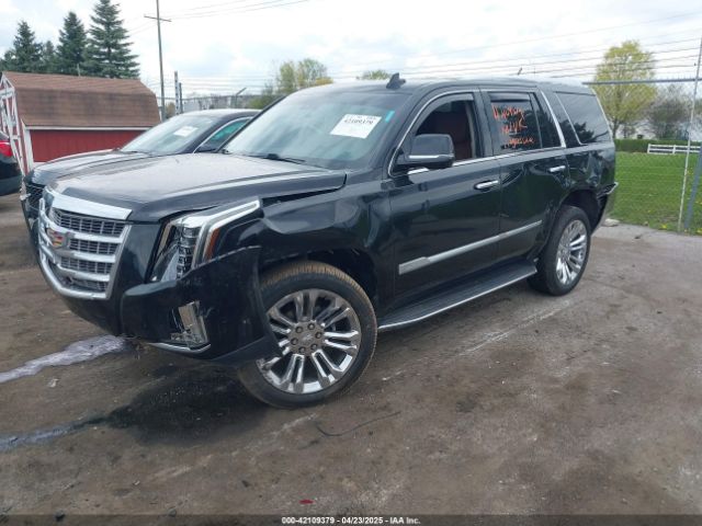 2019 CADILLAC ESCALADE 1GYS4BKJ5KR226509 Photo 1