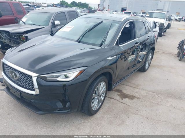 2024 INFINITI QX50 3PCAJ5BA7RF101801 Photo 1