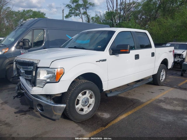 1FTFW1EFXEKE92754 Ford F-150 Xlt