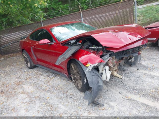 2019 FORD MUSTANG 1FA6P8TH6K5106342