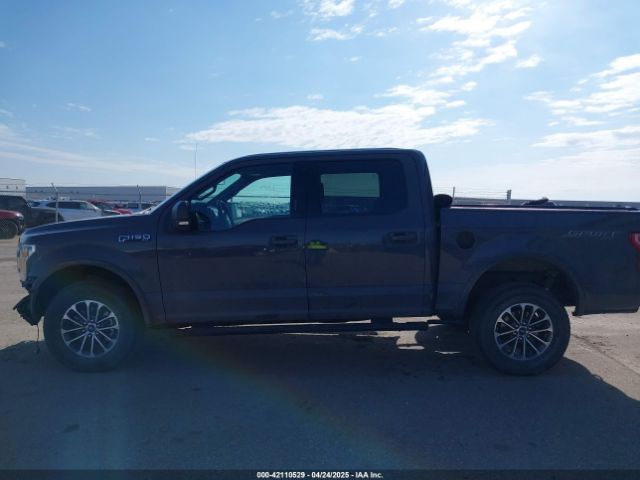 1FTEW1E47LFC23207 Ford F-150 Xlt