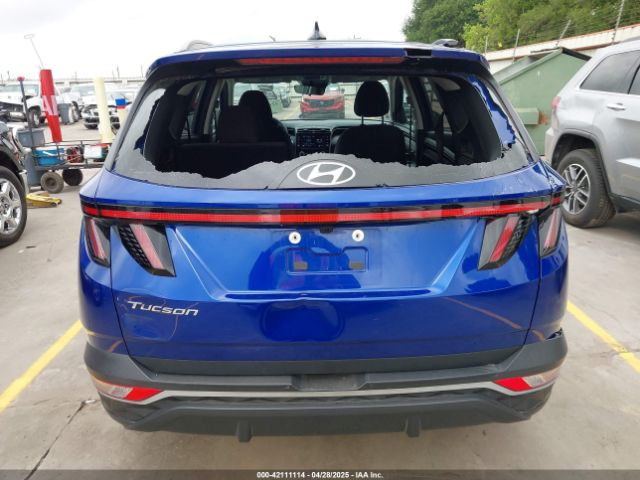 5NMJB3AE3PH282168 Hyundai TUCSON SEL