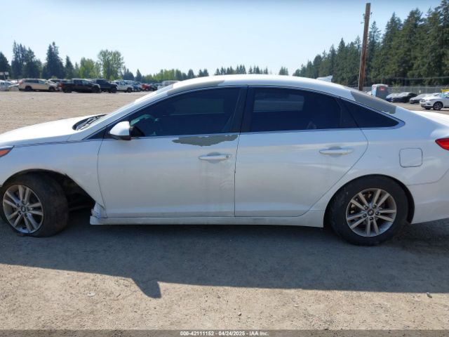 5NPE24AF1HH543172 Hyundai Sonata
