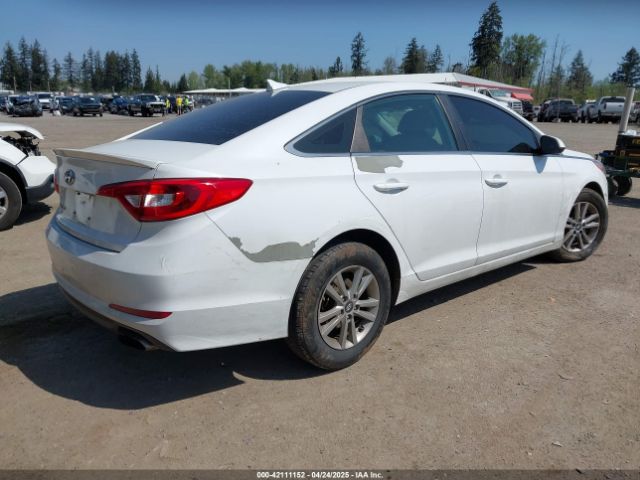5NPE24AF1HH543172 Hyundai Sonata