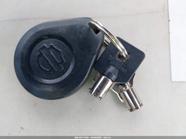 2020 HARLEY-DAVIDSON FLTRK 1HD1KZF12LB657618 Photo 10