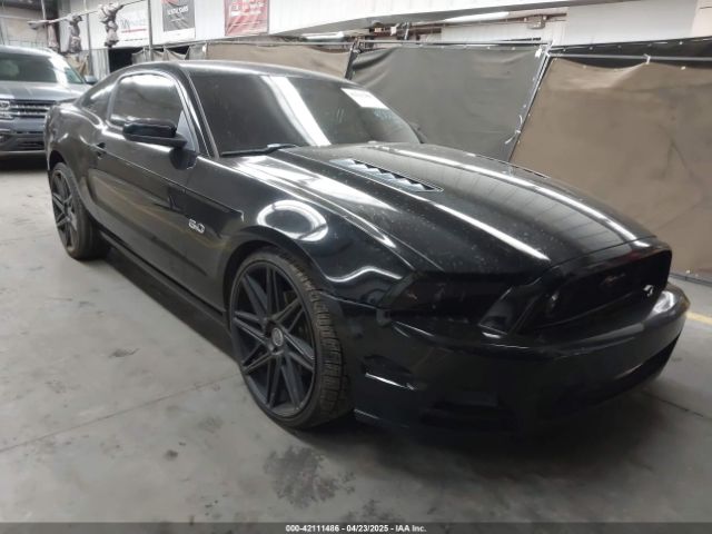 2013 FORD MUSTANG 1ZVBP8CF8D5262597