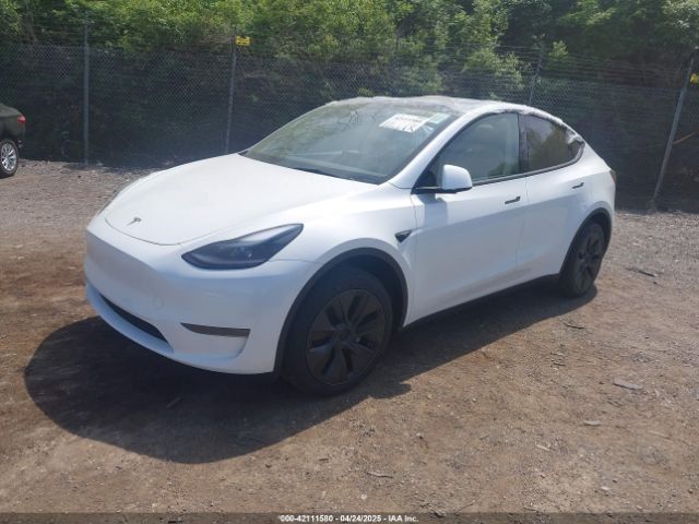 2025 TESLA MODEL Y 7SAYGDED7SA378872 Photo 1