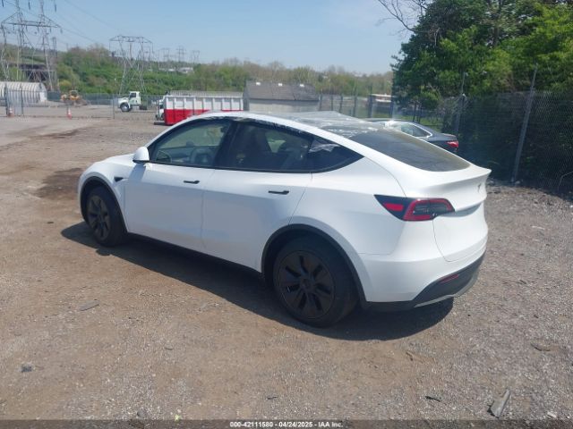 2025 TESLA MODEL Y 7SAYGDED7SA378872 Photo 2