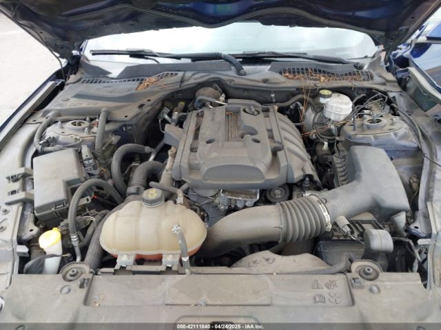 1FA6P8TH6K5169215 Ford Mustang Ecoboost