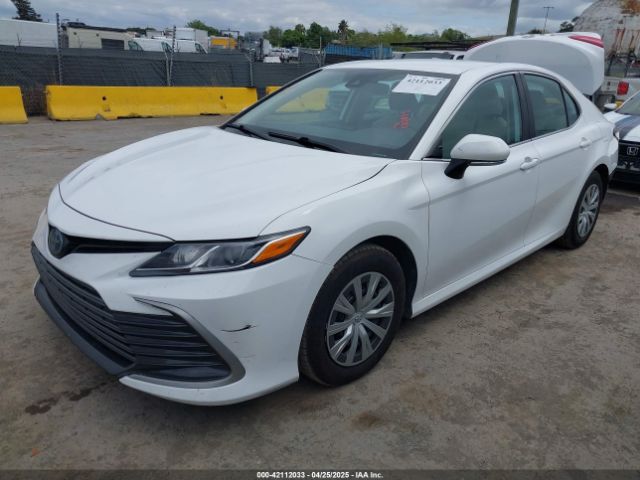 4T1C31AKXPU610089 Toyota Camry Le Hybrid