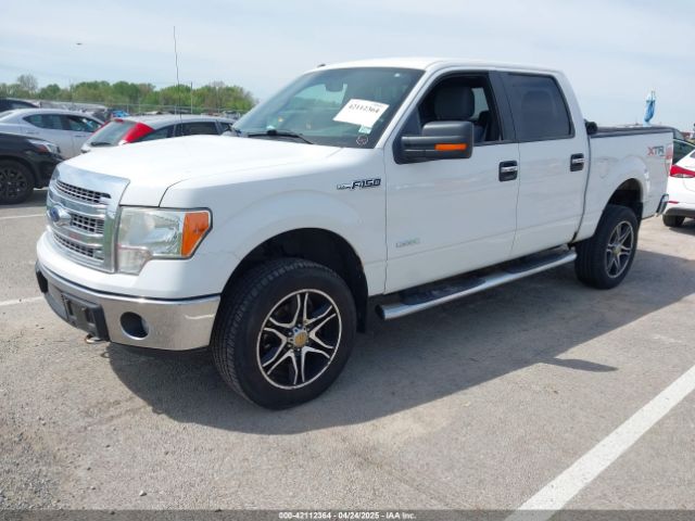 2014 FORD F-150 1FTFW1ET5EFA19844 Photo 1