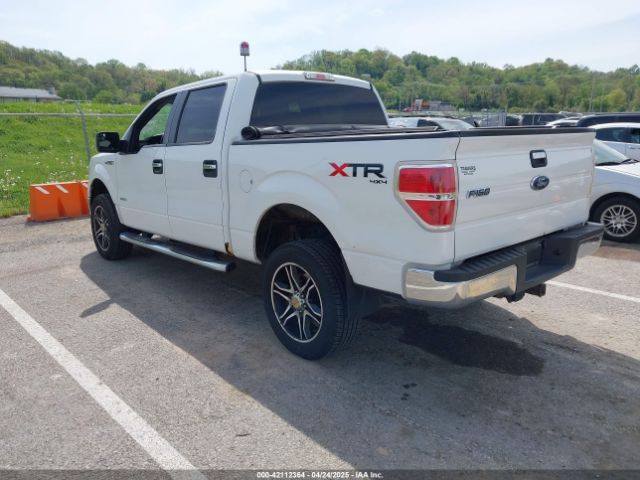 2014 FORD F-150 1FTFW1ET5EFA19844 Photo 2