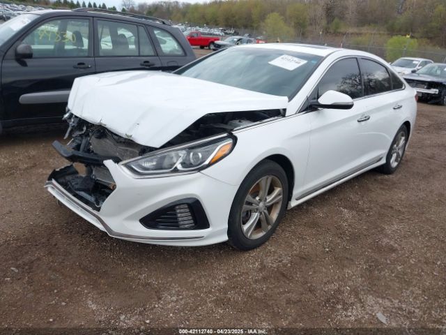 5NPE34AF4JH638229 Hyundai Sonata Sport