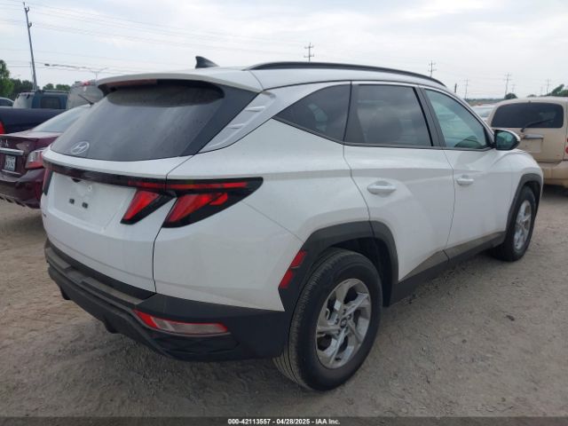 5NMJB3DE7RH427985 Hyundai TUCSON SEL
